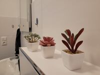 Wohnung 2 Wohnung 2