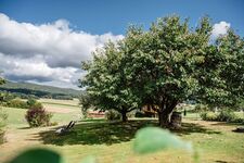 Herrlich großer Garten mit Weitblick! Herrlich großer Garten mit Weitblick!