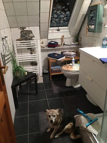 Casa Cerasum 1 Picture 5 Casa Cerasum 1 Picture 5