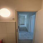 Apartment for Max 6 people Nähe Köln/Düsseldorf/Leverkusen/Godorf 24/7 Bild 17 Apartment for Max 6 people Nähe Köln/Düsseldorf/Leverkusen/Godorf 24/7 Bild 17