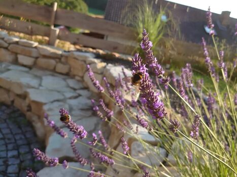 Ferienwohnungwohnung Sandner Bild 3 Ferienwohnungwohnung Sandner Bild 3