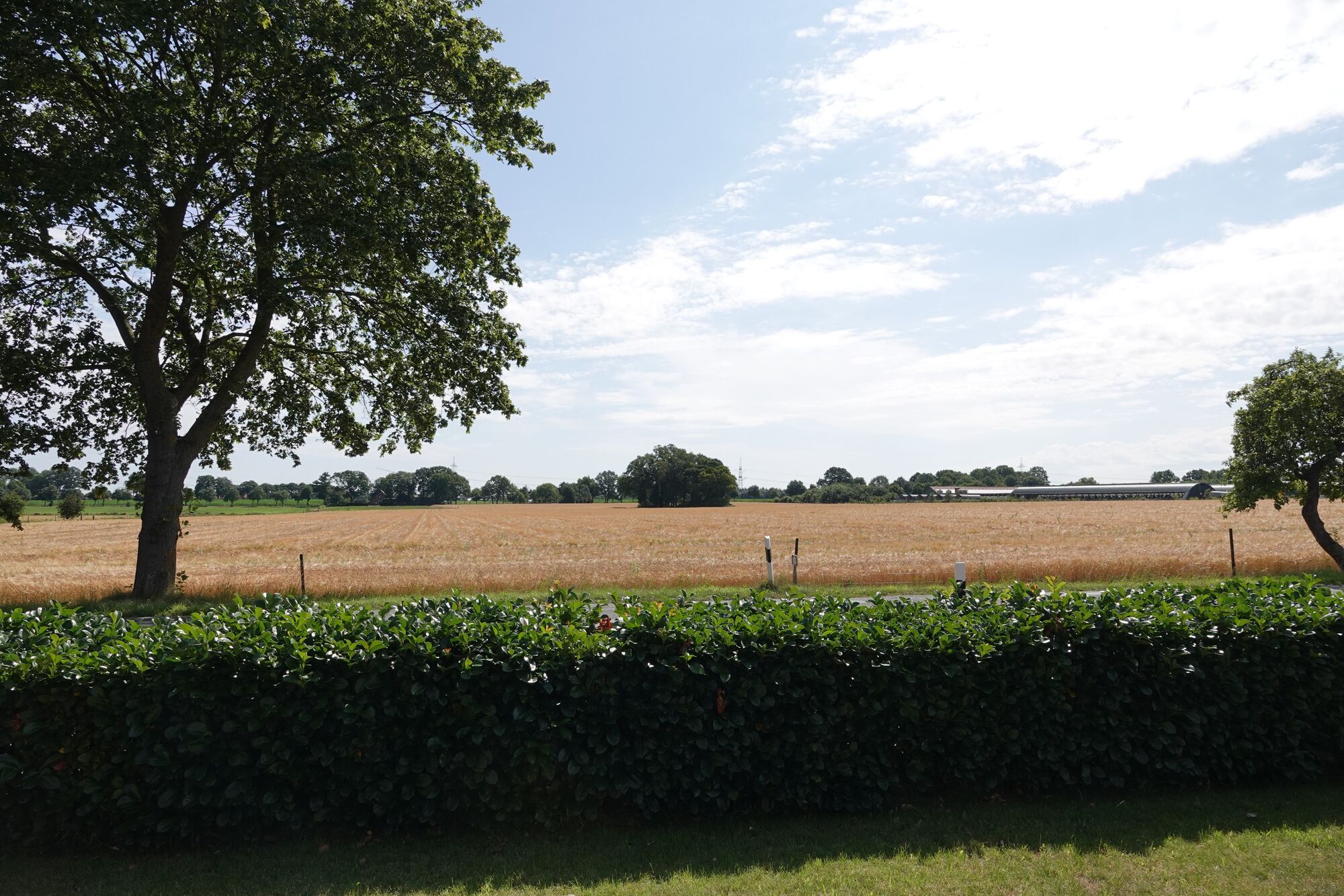 Ausblick Ausblick