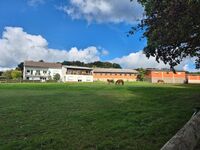 Haus und Pferdeweide, ruhige Lage im Grünen Haus und Pferdeweide, ruhige Lage im Grünen