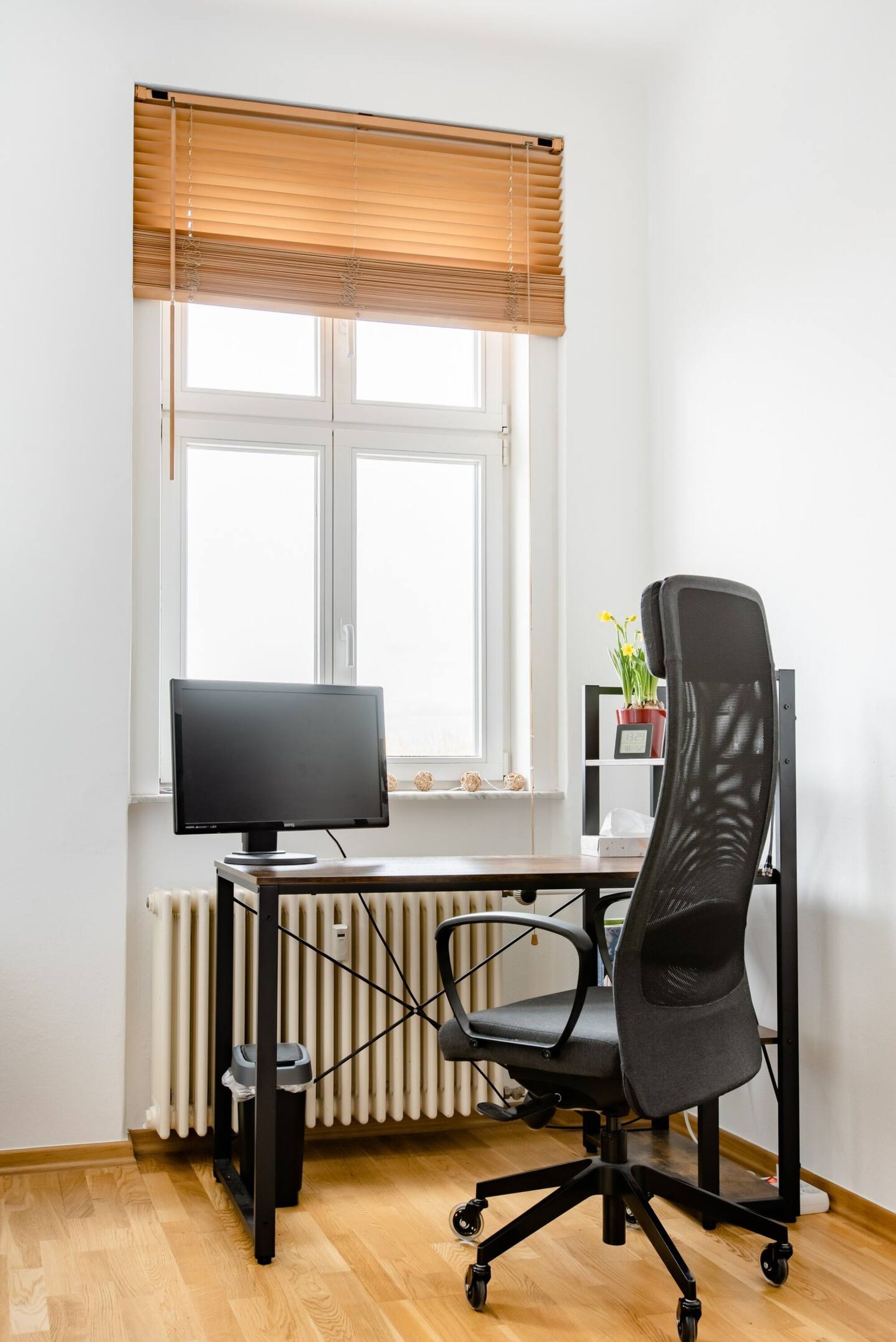 Bild 5 Bild 5