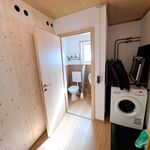 Ferienhaus Gäste-WC und Waschmaschine Ferienhaus Gäste-WC und Waschmaschine