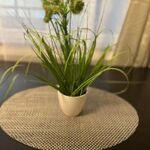 M&BLuxux Apartments Bild 9 M&BLuxux Apartments Bild 9