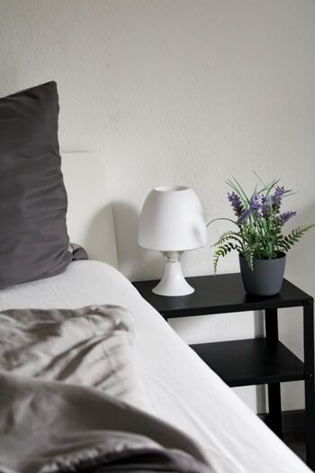 Rent Solution I Osnabrück I Apartment mit Innenstadtlage Bild 5 Rent Solution I Osnabrück I Apartment mit Innenstadtlage Bild 5