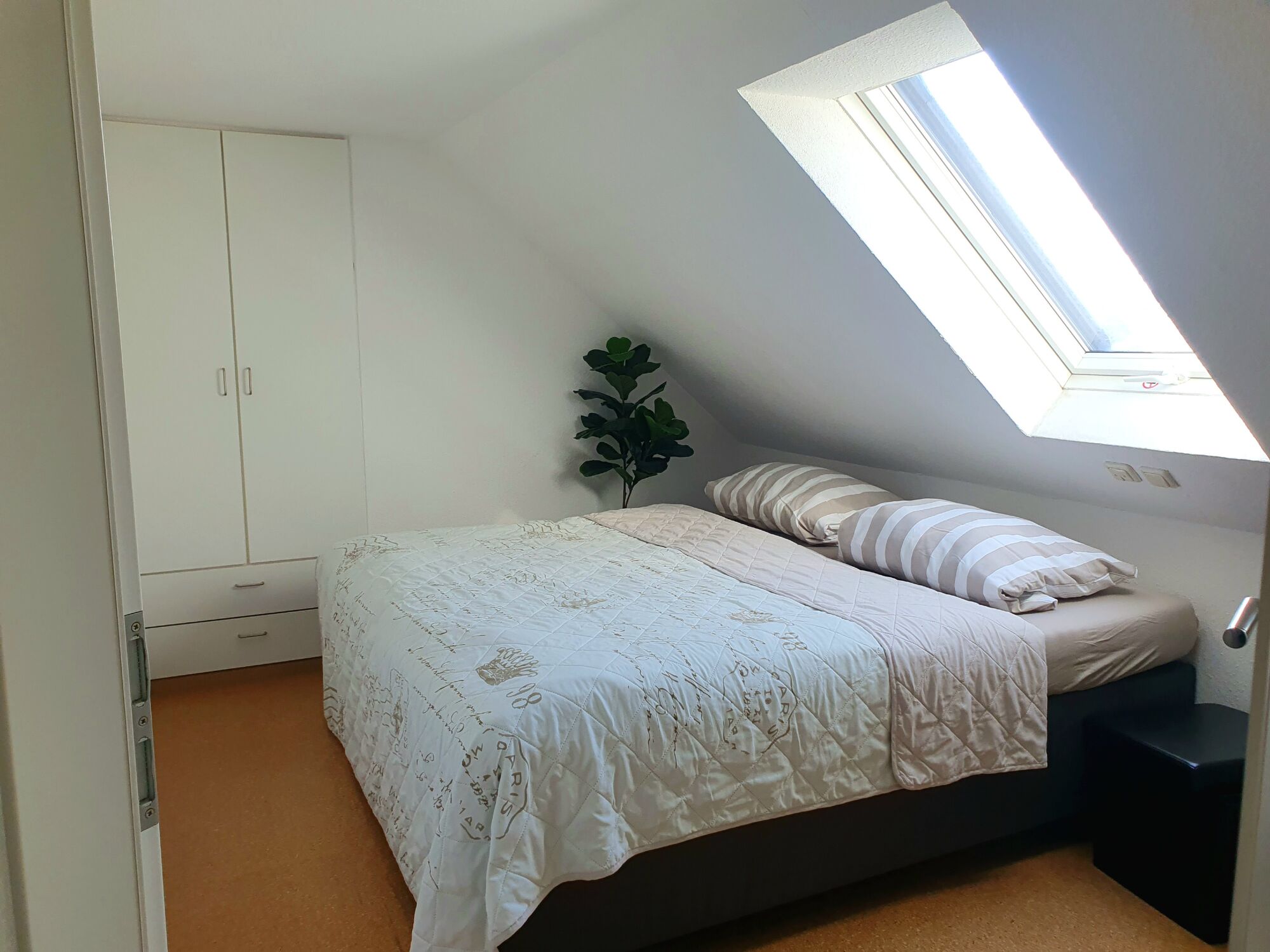 Bild 4 Bild 4