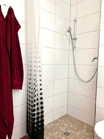 Wolfen-Apartments: Studio-Apartment mit Schlafsofa Bild 3 Wolfen-Apartments: Studio-Apartment mit Schlafsofa Bild 3