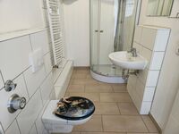 Praktische 1-Zimmer-Wohnungen nahe Innenstadt Zdjęcie 1 Praktische 1-Zimmer-Wohnungen nahe Innenstadt Zdjęcie 1