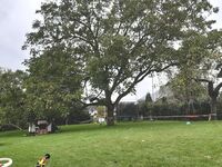 Ferienhaus Zum Unneschmitz Picture 16 Ferienhaus Zum Unneschmitz Picture 16