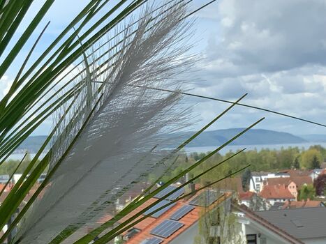 Wohnung Nowraty Wohnung Nowraty