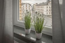 Living Linden Obrázok 7 Living Linden Obrázok 7