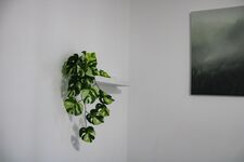 Rent Solution | Everswinkel - Münster | Apartment mit Innenstadlage Bild 13 Rent Solution | Everswinkel - Münster | Apartment mit Innenstadlage Bild 13