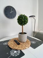 Urban Heaven-Zentral-5 Betten-WLAN-Parkplatz Picture 10 Urban Heaven-Zentral-5 Betten-WLAN-Parkplatz Picture 10