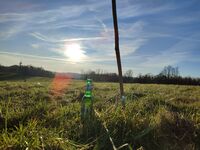 Künstlerwohnung für Naturliebhaber und Monteure Zdjęcie 18 Künstlerwohnung für Naturliebhaber und Monteure Zdjęcie 18