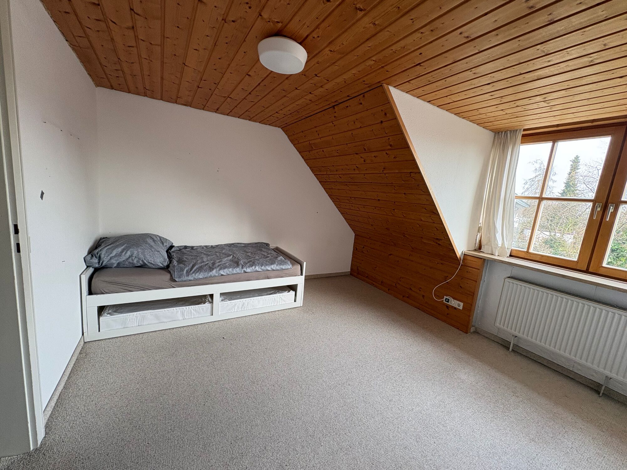 Zdjęcie 5 Zdjęcie 5