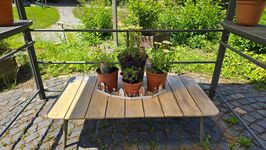 Historisches Kloster Marienthal bei Seelbach Picture 11 Historisches Kloster Marienthal bei Seelbach Picture 11