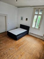 Rattebfänger Lebt Bild 2 Rattebfänger Lebt Bild 2