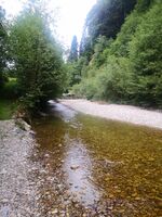 Bachbeim Domizil Bachbeim Domizil