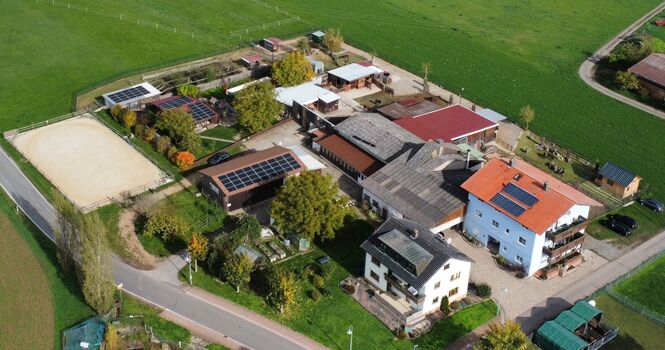 Freizeit- und Ferienreiterhof Odenwald Freizeit- und Ferienreiterhof Odenwald