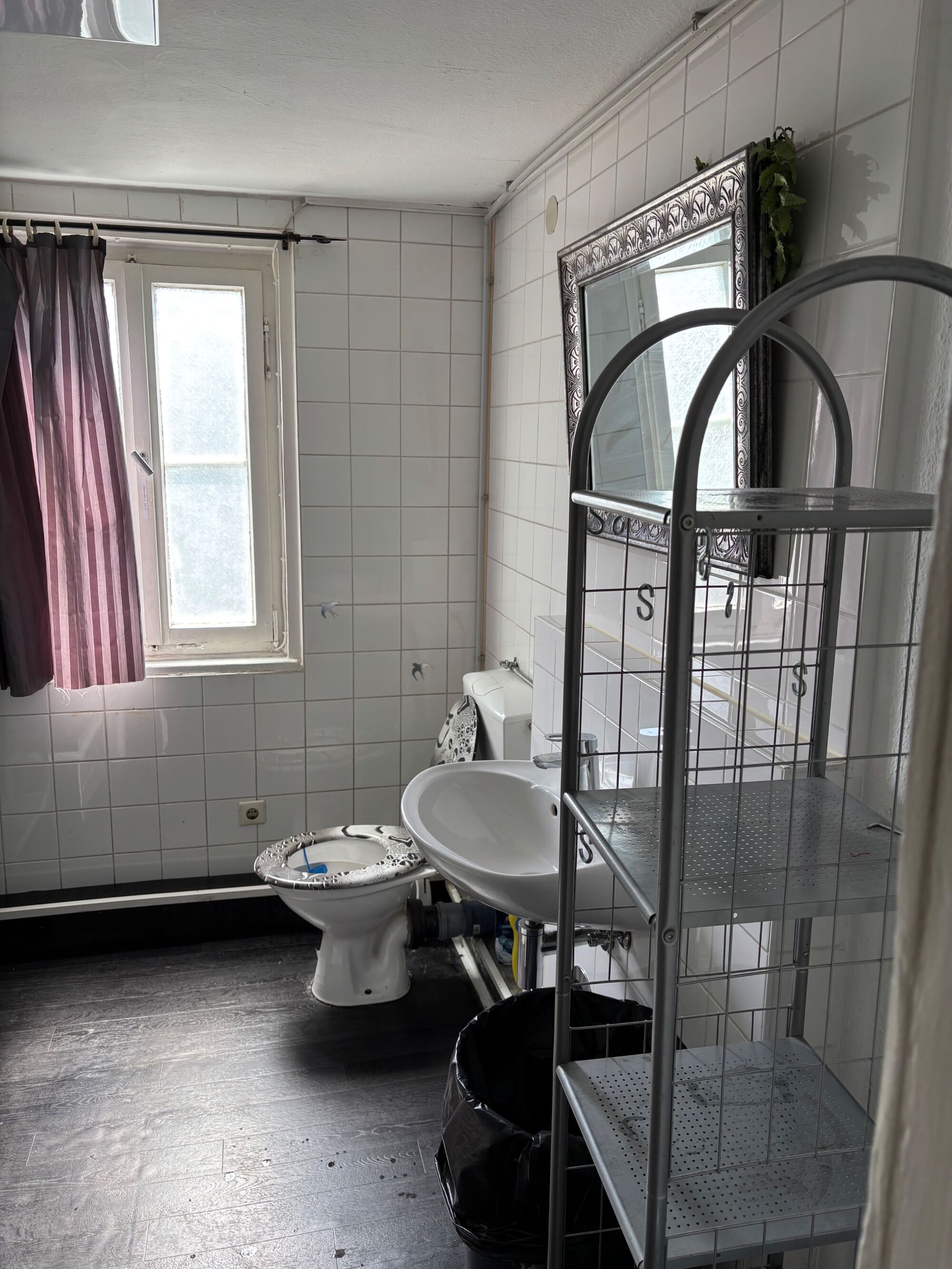 Bild 5 Bild 5