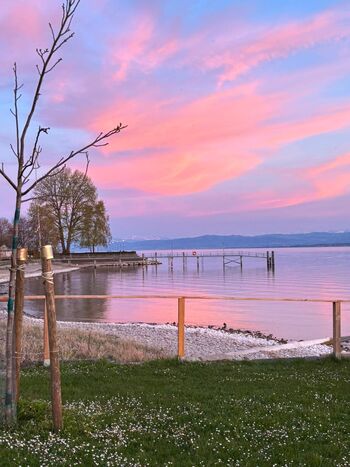 Ruhiges Zimmer mit eigenem Bad, Seelage Meersburg Obrázok 5 Ruhiges Zimmer mit eigenem Bad, Seelage Meersburg Obrázok 5