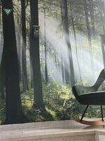 GRÜN - möbliertes Wohnen mit 2 Schlafzimmern in Siegen Bild 10 GRÜN - möbliertes Wohnen mit 2 Schlafzimmern in Siegen Bild 10