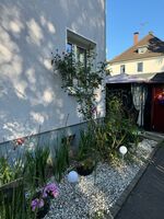 ARI Home Bild 7 ARI Home Bild 7