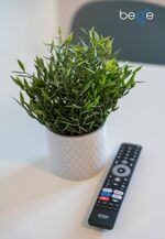 Schlafzimmer 1 mit zwei Einzelbetten, Sitzecke und Smart TV Schlafzimmer 1 mit zwei Einzelbetten, Sitzecke und Smart TV