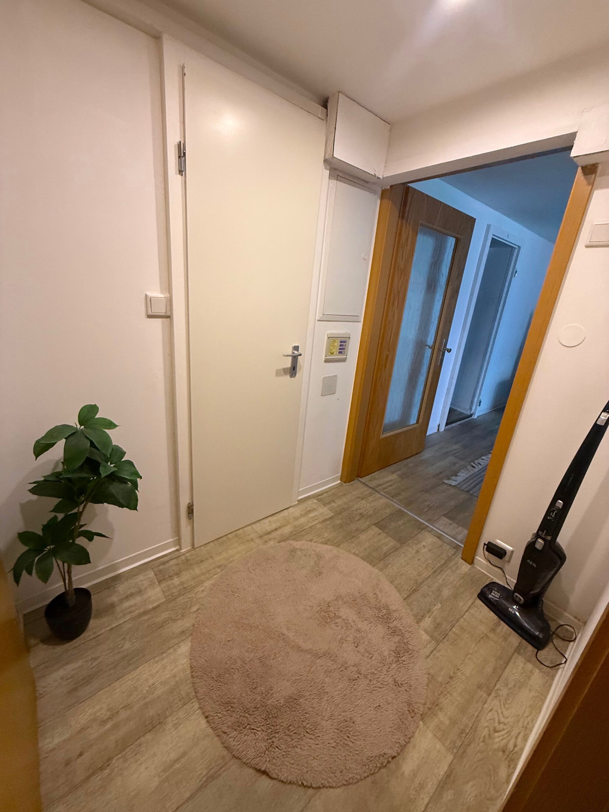 Picture 5 Picture 5