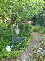Garten Garten