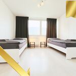 DOR01 2 Bett Zimmer DOR01 2 Bett Zimmer