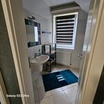 Wohnung Sanders Bild 7 Wohnung Sanders Bild 7