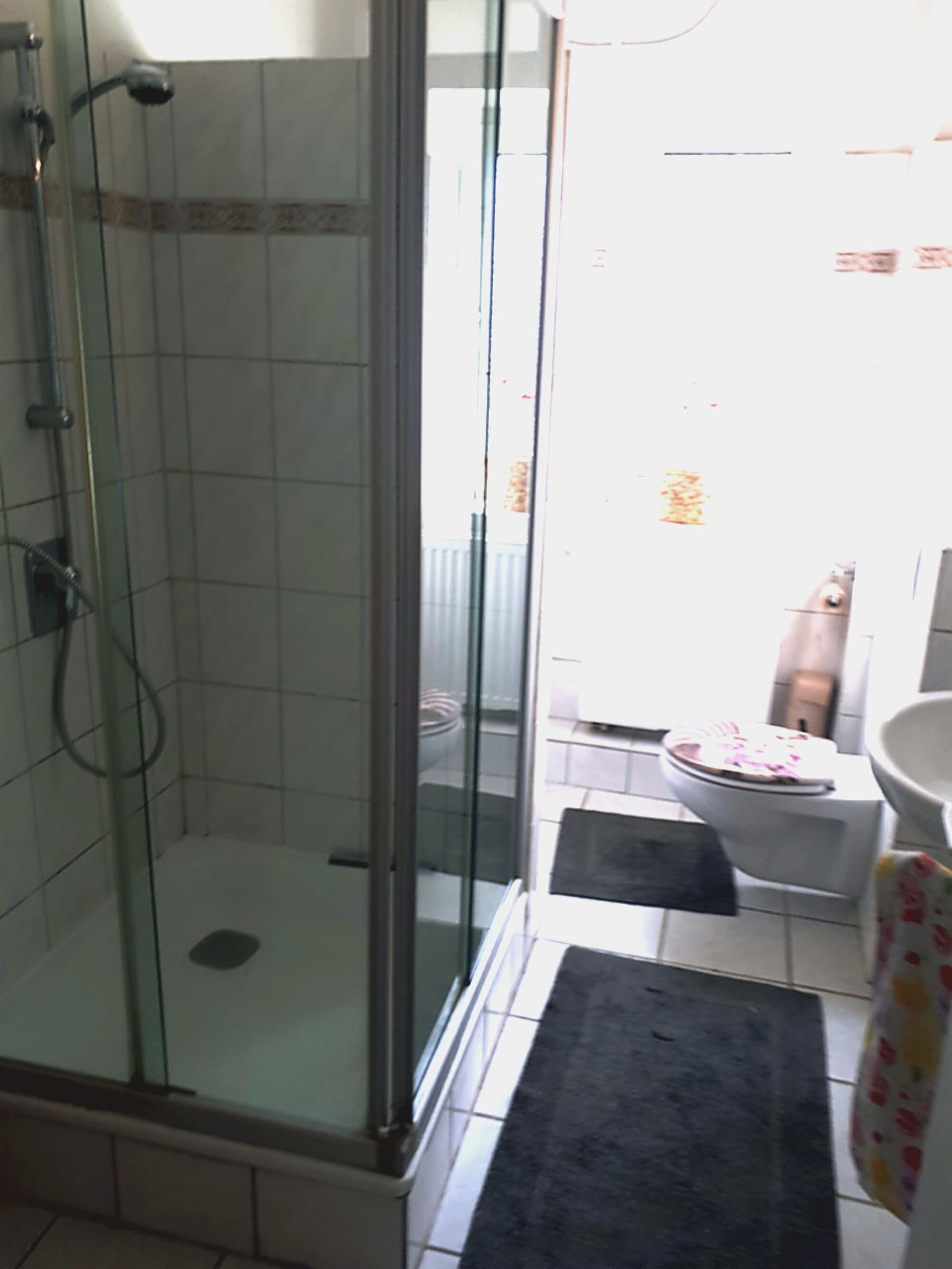 Dusche+WC Dusche+WC