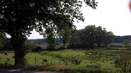 Blick in das Naturschutzgebiet Blick in das Naturschutzgebiet