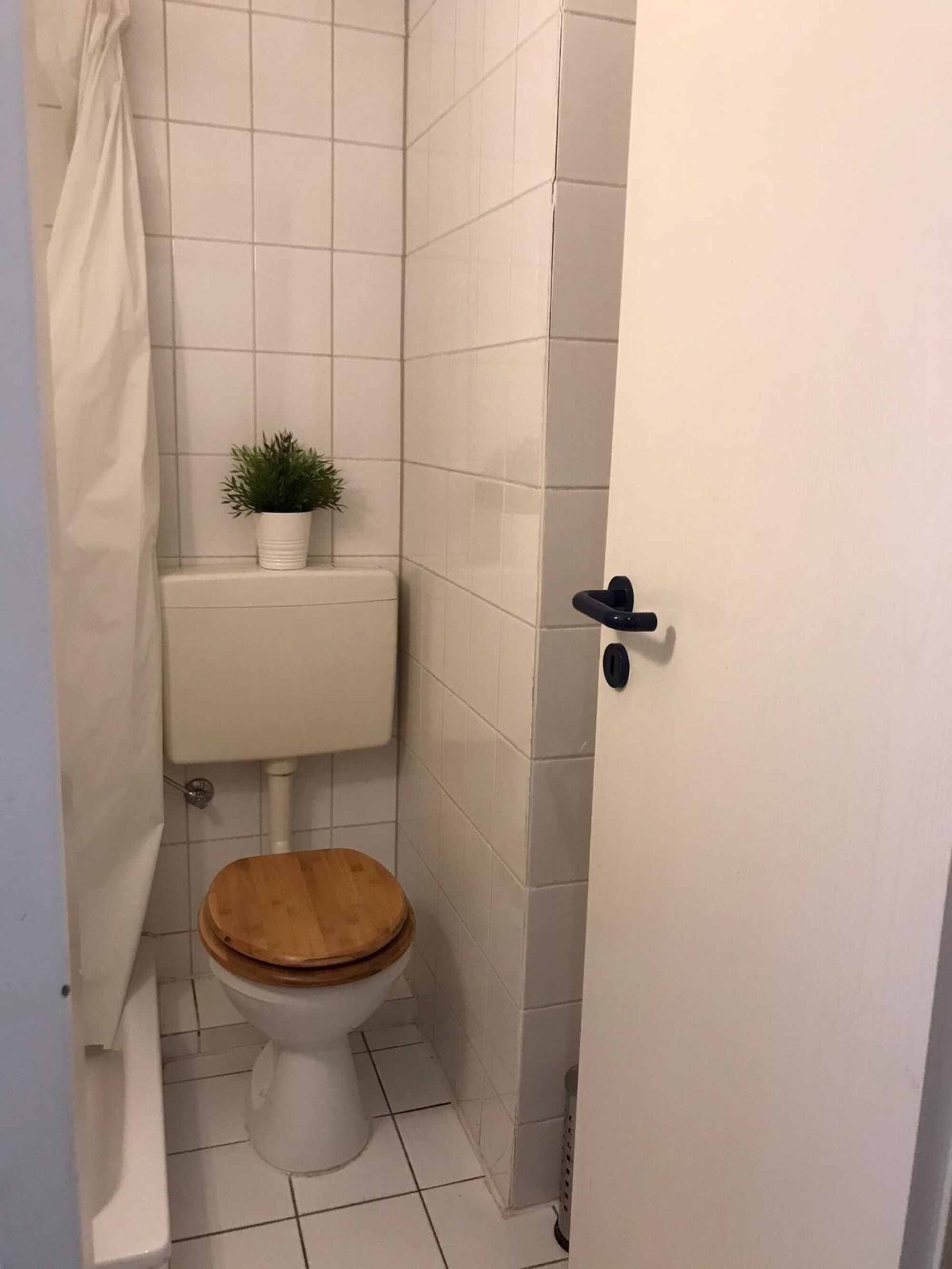 Bild 5 Bild 5
