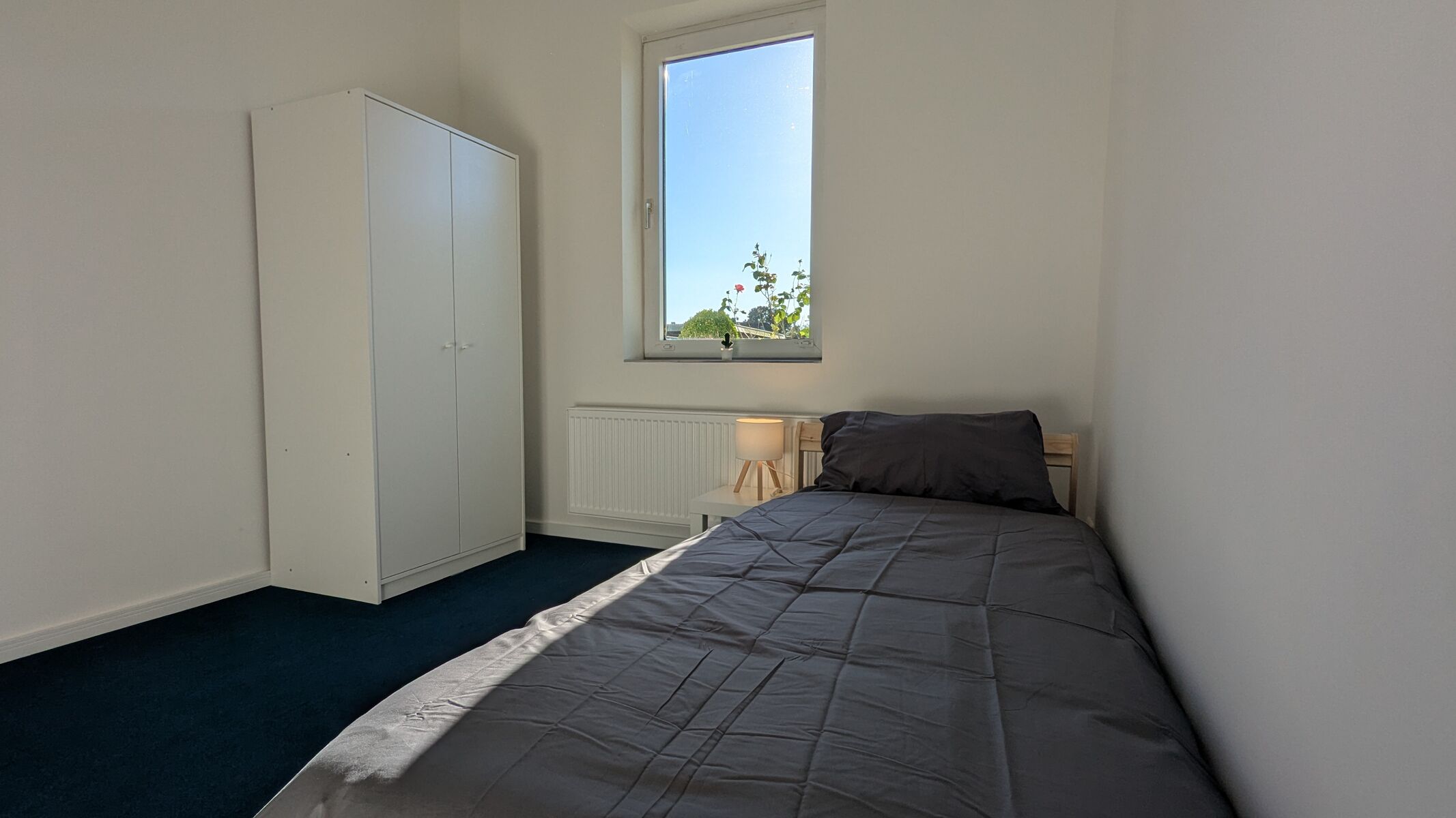 Bild 5 Bild 5