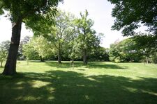 Park Park