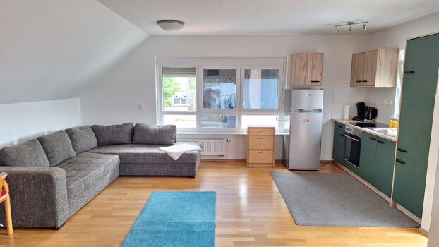 1 Zimmer Apartment an der Elz Bild 1 1 Zimmer Apartment an der Elz Bild 1