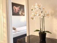 Apartmenthaus Eduardstraße Apolda (35 Betten) Obrázok 2 Apartmenthaus Eduardstraße Apolda (35 Betten) Obrázok 2