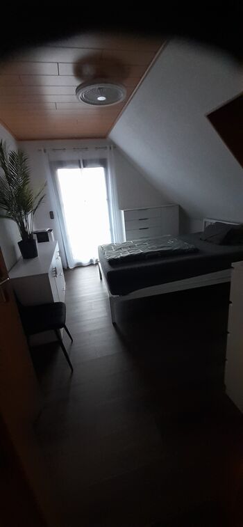 Wohnung Hoffmeister Bild 4 Wohnung Hoffmeister Bild 4