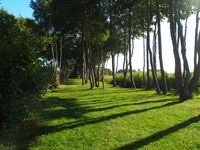 Fewo - Umgebung Ufer/See (50m) Fewo - Umgebung Ufer/See (50m)