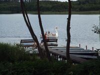 Fewo - Umgebung Ufer/See (50m) Fewo - Umgebung Ufer/See (50m)