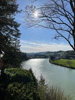 Landhotel Seeblick *** 1 Standort 80 Betten Picture 10 Landhotel Seeblick *** 1 Standort 80 Betten Picture 10