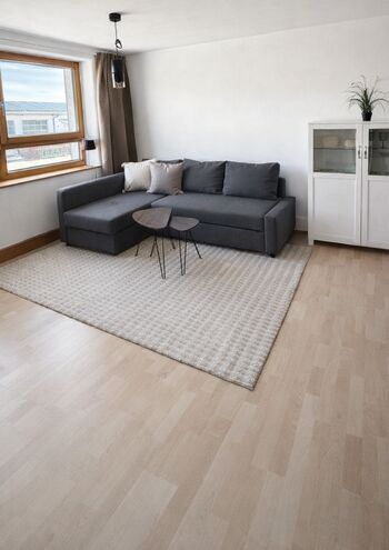 Wohnbereich mit Schlafcouch und TV Wohnbereich mit Schlafcouch und TV