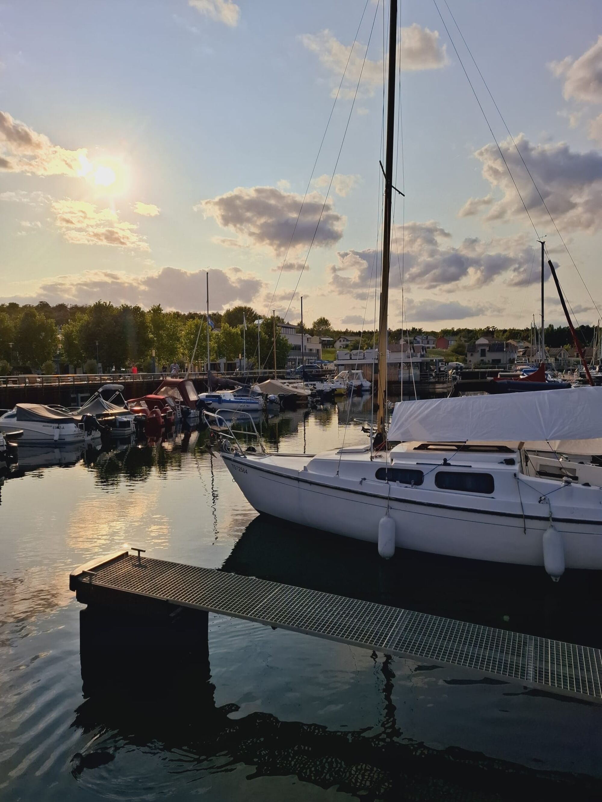 Zdjęcie 2 Zdjęcie 2