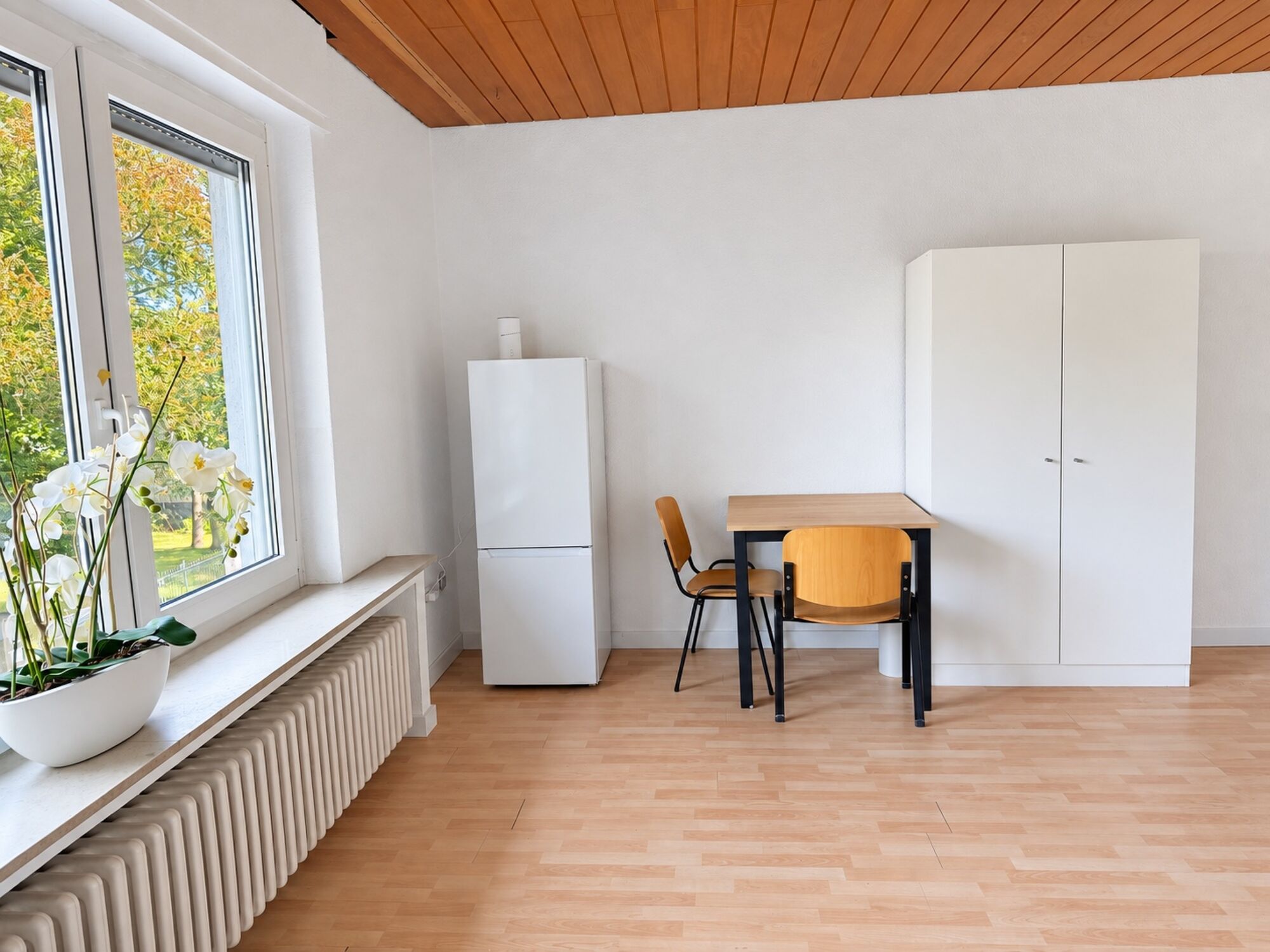 Bild 5 Bild 5