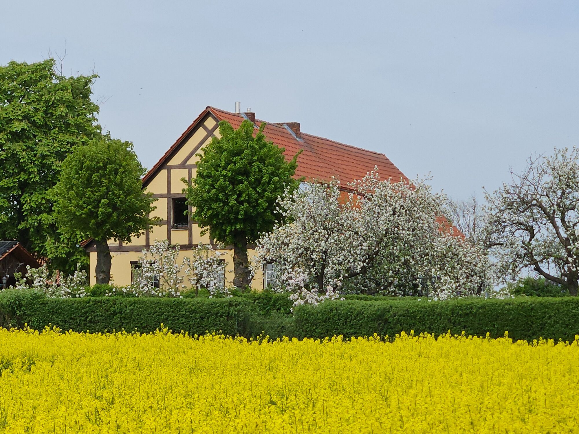 Zdjęcie 1 Zdjęcie 1