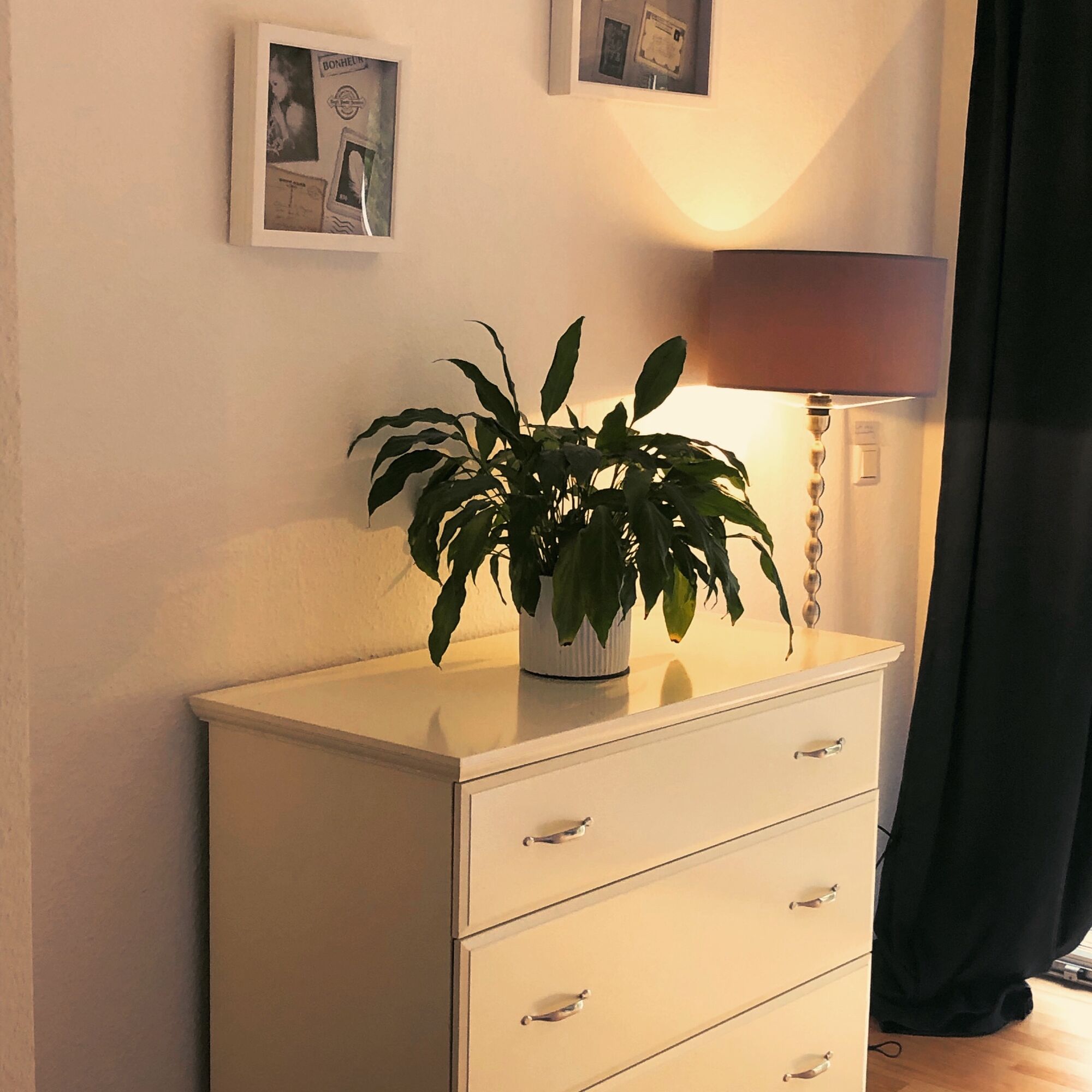 Bild 5 Bild 5